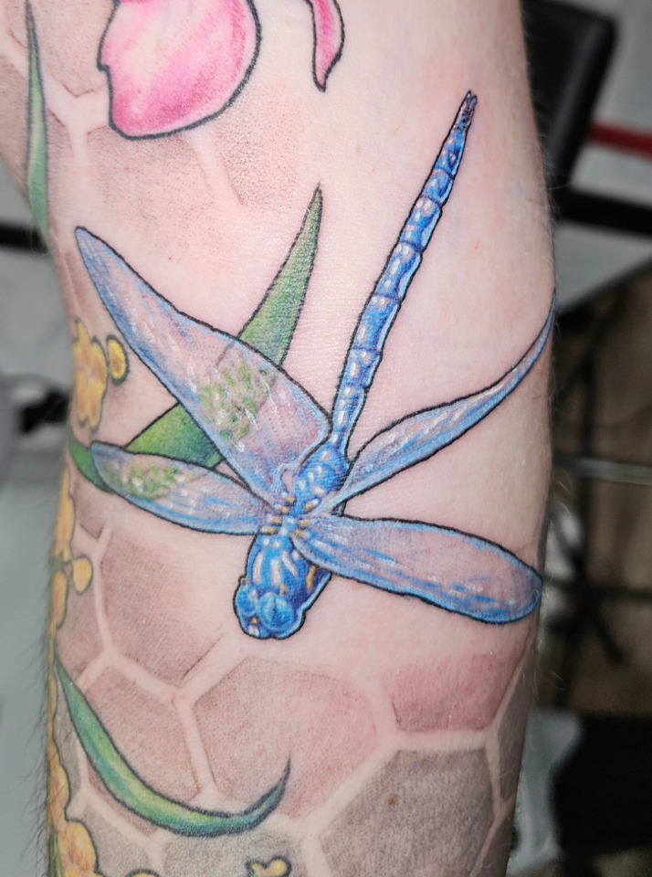 Blue Dragonfly Tattoo