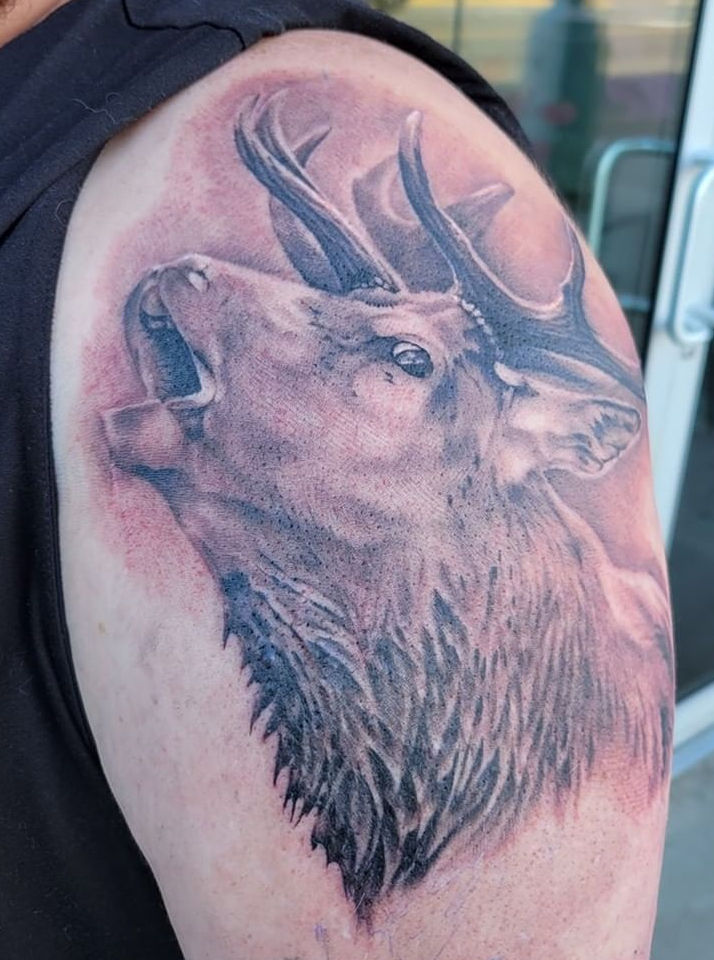 Bugling Elk Tattoo