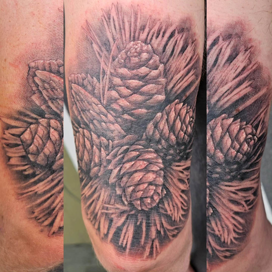 Whitebark Pine Cone Cluster — Clay Walker Tattoo