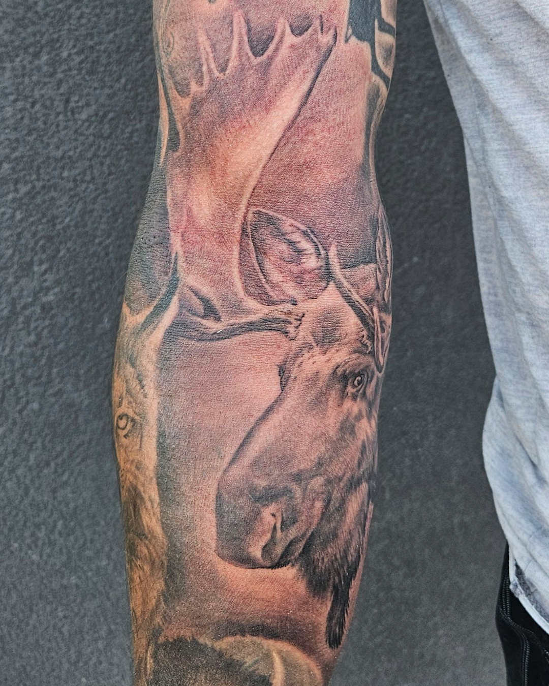 Moose Add-on — Clay Walker Tattoo